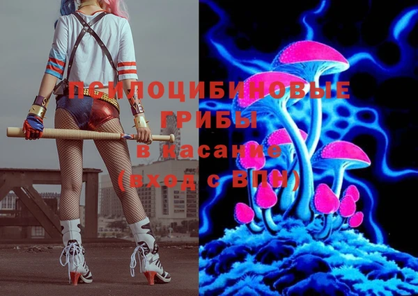 Альфа ПВП Надым