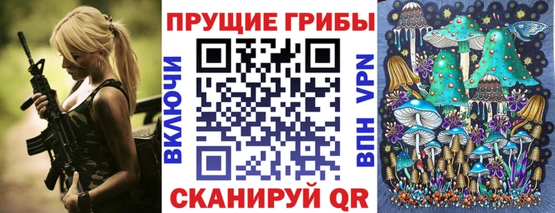 Галлюциногенные грибы Cubensis  Купить  Лосино-Петровский 